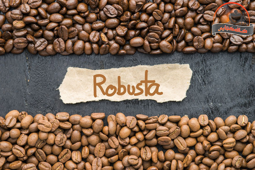 قهوه روبوستا: ویژگی‌ها، طعم و تفاوت‌های آن با قهوه عربیکا