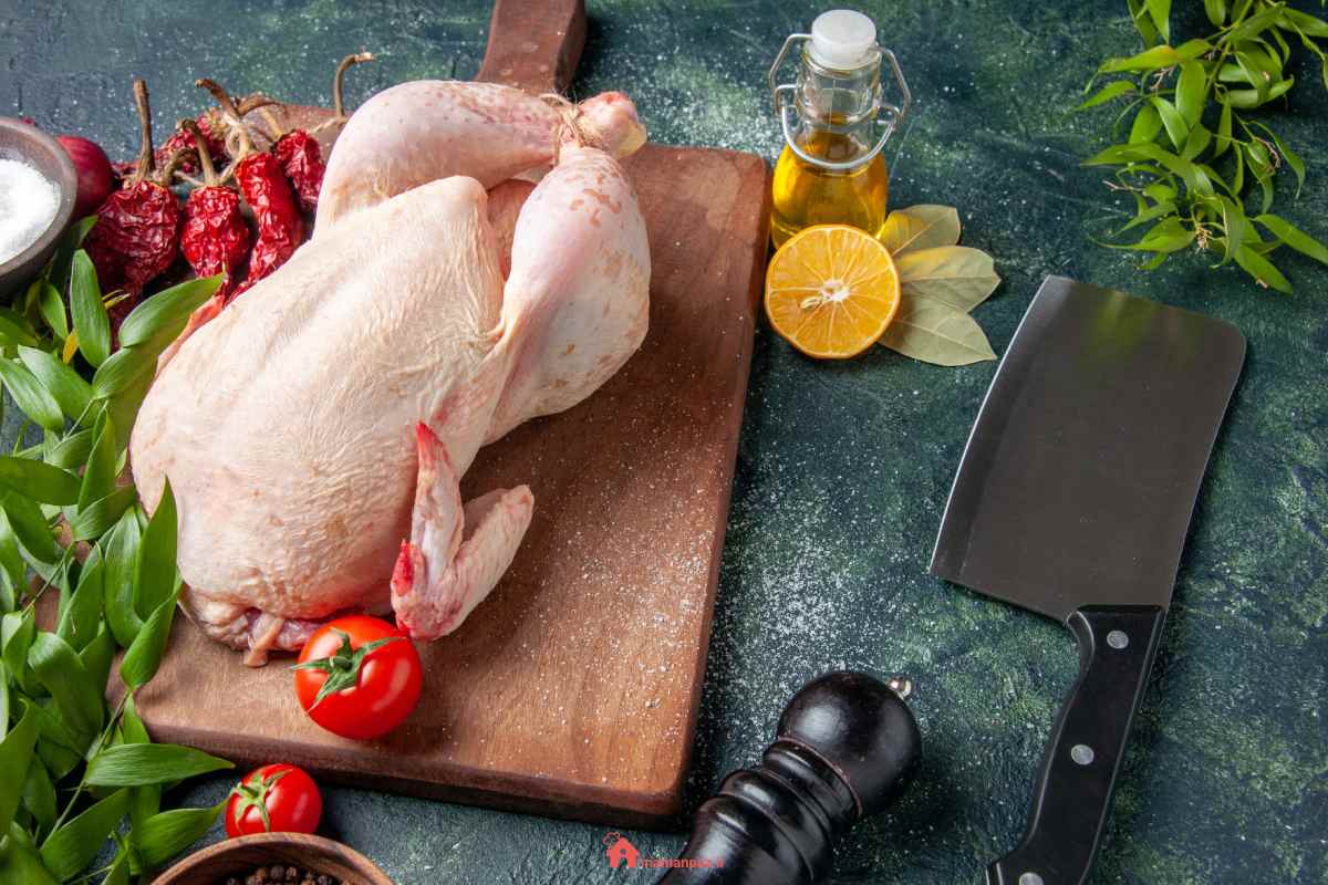 28 مدل غذا با گوشت بوقلمون