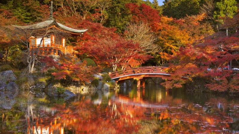 چرا پاییز بهترین زمان برای سفر به ژاپن است؟